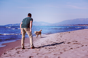 Image showing man with dog enjoying free time on the beach