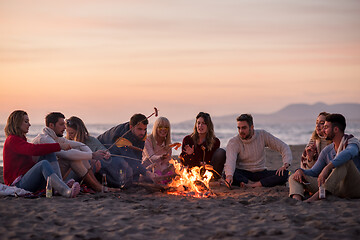 Image showing Group Of Young Friends Sitting By The Fire at beach