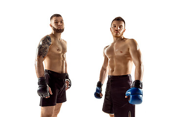 Image showing Two professional boxers boxing isolated on white studio background