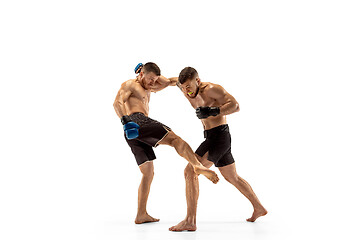 Image showing Two professional boxers boxing isolated on white studio background