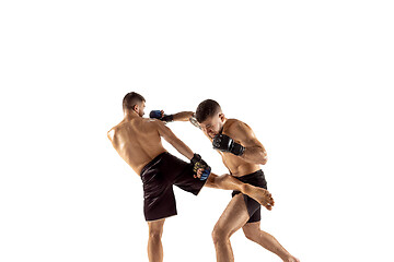 Image showing Two professional boxers boxing isolated on white studio background