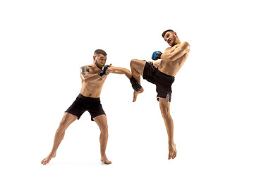 Image showing Two professional boxers boxing isolated on white studio background