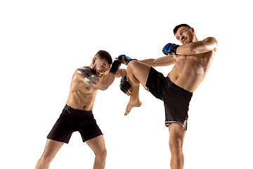 Image showing Two professional boxers boxing isolated on white studio background