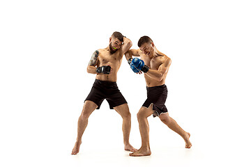 Image showing Two professional boxers boxing isolated on white studio background