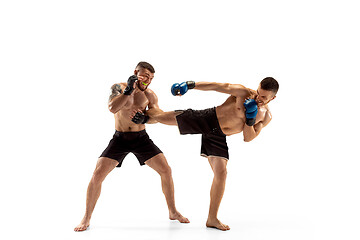 Image showing Two professional boxers boxing isolated on white studio background