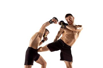 Image showing Two professional boxers boxing isolated on white studio background