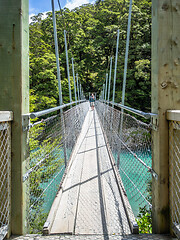 Image showing Haast River Landsborough Valley New Zealand