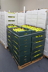 Image showing Peppers Pallet