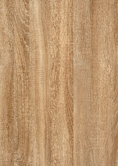 Image showing wood grain surface