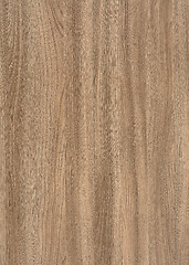 Image showing wood grain surface