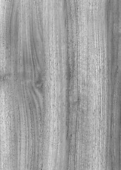 Image showing wood grain surface