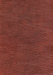 Image showing full frame leather background