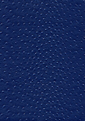 Image showing ostrich leather surface