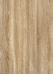 Image showing wood grain surface