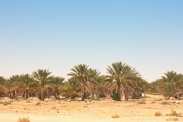 Image showing tunisia