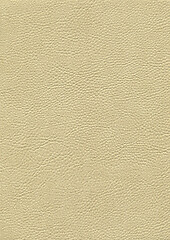 Image showing full frame leather background