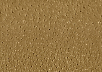 Image showing ostrich leather surface