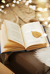 Image showing book with autumn leaf on page on sofa at home