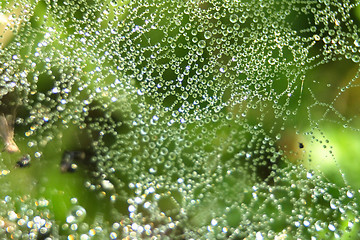 Image showing water drops background