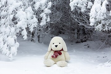 Image showing Stuffed bear wearing a woman\'s knit scarf in the snow
