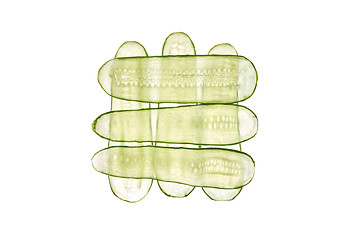 Image showing Square pattern from thin transparent slices of natural organic cucumber.