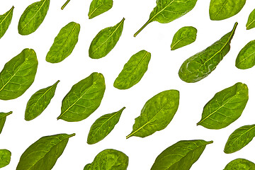 Image showing Horizontal pattern from spinach green natural organic leaves on a white background.