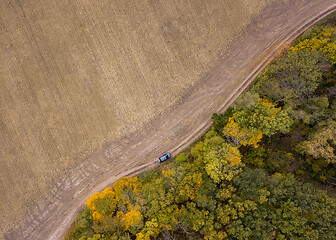 Image showing Aerial view from a drone above dirt road across the agricultural field and forest area.