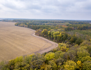 Image showing Agricultural plowed fields with yellow autumn woods on a cloudy day.