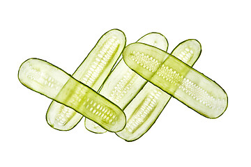 Image showing Creative pattern from fresh natural cucumber crossed slices.