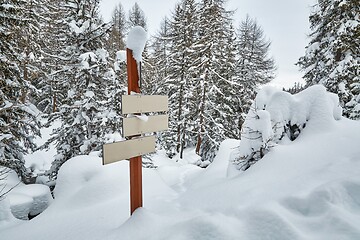 Image showing Winter Snowy Mountain Hiking Signs