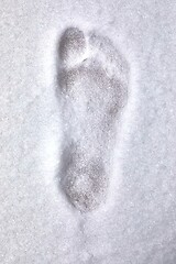 Image showing Footprint barefoot in snow