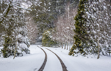 Image showing Snow covered landscape near Oberon