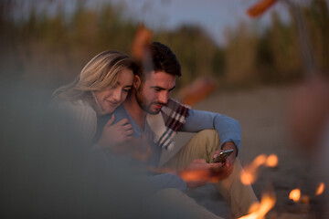 Image showing Group Of Young Friends Sitting By The Fire at beach