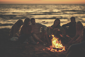 Image showing Group Of Young Friends Sitting By The Fire at beach