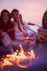 Image showing Group Of Young Friends Sitting By The Fire at beach