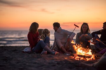 Image showing Group Of Young Friends Sitting By The Fire at beach