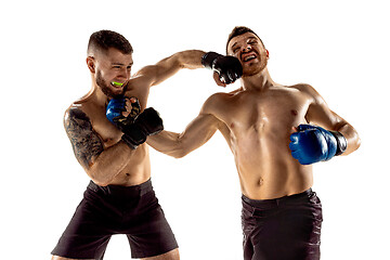 Image showing Two professional boxers boxing isolated on white studio background