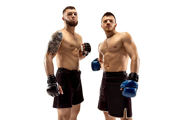 Image showing Two professional boxers boxing isolated on white studio background