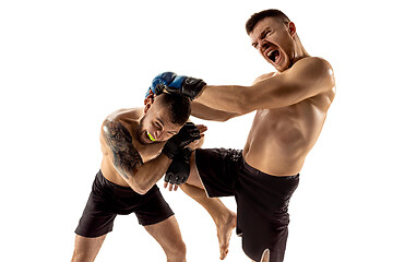 Image showing Two professional boxers boxing isolated on white studio background