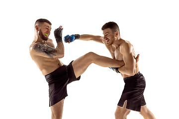 Image showing Two professional boxers boxing isolated on white studio background