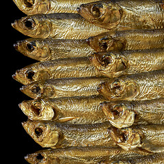 Image showing smoked sprats