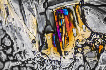 Image showing Ammonium sulfate microcrystals