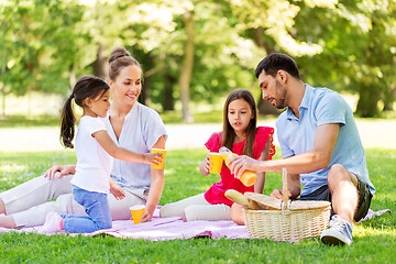 Image showing family drinking juice on picnic at summer park