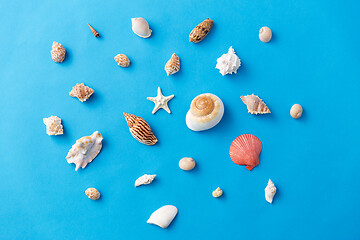 Image showing different sea shells on blue background