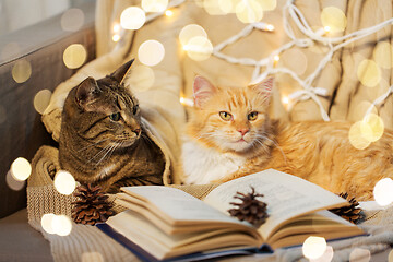 Image showing two cats lying on sofa with book at home