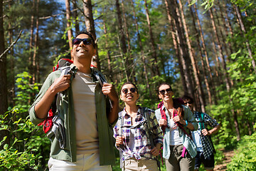 Image showing group of friends with backpacks hiking in forest