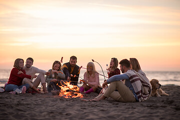 Image showing Group Of Young Friends Sitting By The Fire at beach