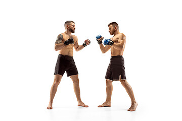 Image showing Two professional boxers boxing isolated on white studio background