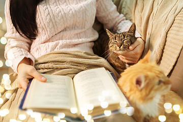 Image showing red and tabby and owner reading book at home