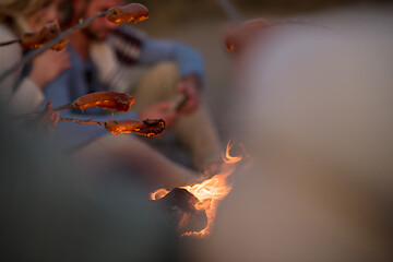 Image showing Group Of Young Friends Sitting By The Fire at beach